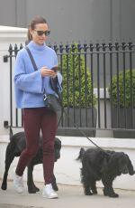 PIPPA MIDDLETON Out with Her Dogs in London 03/29/2019