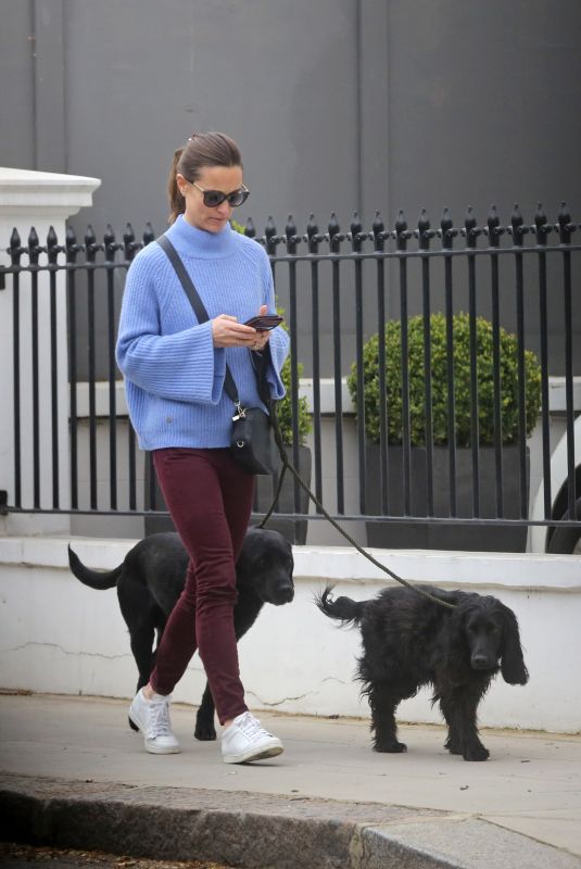PIPPA MIDDLETON Out with Her Dogs in London 03/29/2019