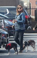 Pregnant KATE MARA and Jamie Bell Out with Their Dogs in Los Angeles 04/06/2019