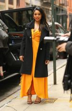 REGINA HALL Out in New York 04/11/2019