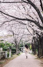 SHAY MITCHELL at a Park in Japan - Instagram Pictures 04/01/2019