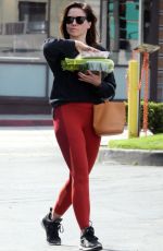 SOPHIA BUSH Out Shopping in West Hollywood 04/03/2019