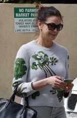 TERI HATCHER Out Shopping in Studio City 04/04/2019