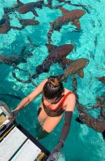 THYLANE BLONDEAU in Swimwear on Vacation in Bahamas 04/01/2019