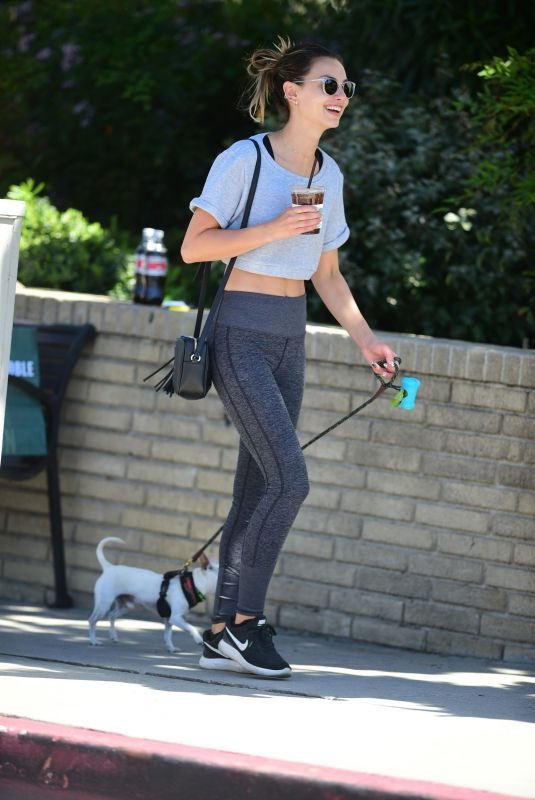 WHITNEY HARTLEY WAGNER Out with Her Dog in Studio City 04/13/2019