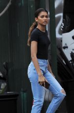 ZENDAYA COLEMAN in Denum Out in Los Angeles 04/06/2019