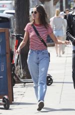 ALESSANDRA AMBROSIO and Nicolo Oddi Out in Venice Beach 05/01/2019