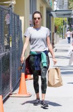 ALESSANDRA AMBROSIO Out Shopping in Brentwood 05/03/2019