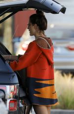 ALESSANDRA AMBROSIO Shopping for Mother
