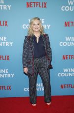 AMY POEHLER at Wine Country Premiere in New York 05/08/2019