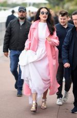 ANDIE MACDOWELL Out at Cannes Film Festival 05/19/2019