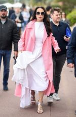 ANDIE MACDOWELL Out at Cannes Film Festival 05/19/2019