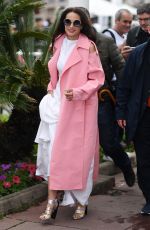 ANDIE MACDOWELL Out at Cannes Film Festival 05/19/2019
