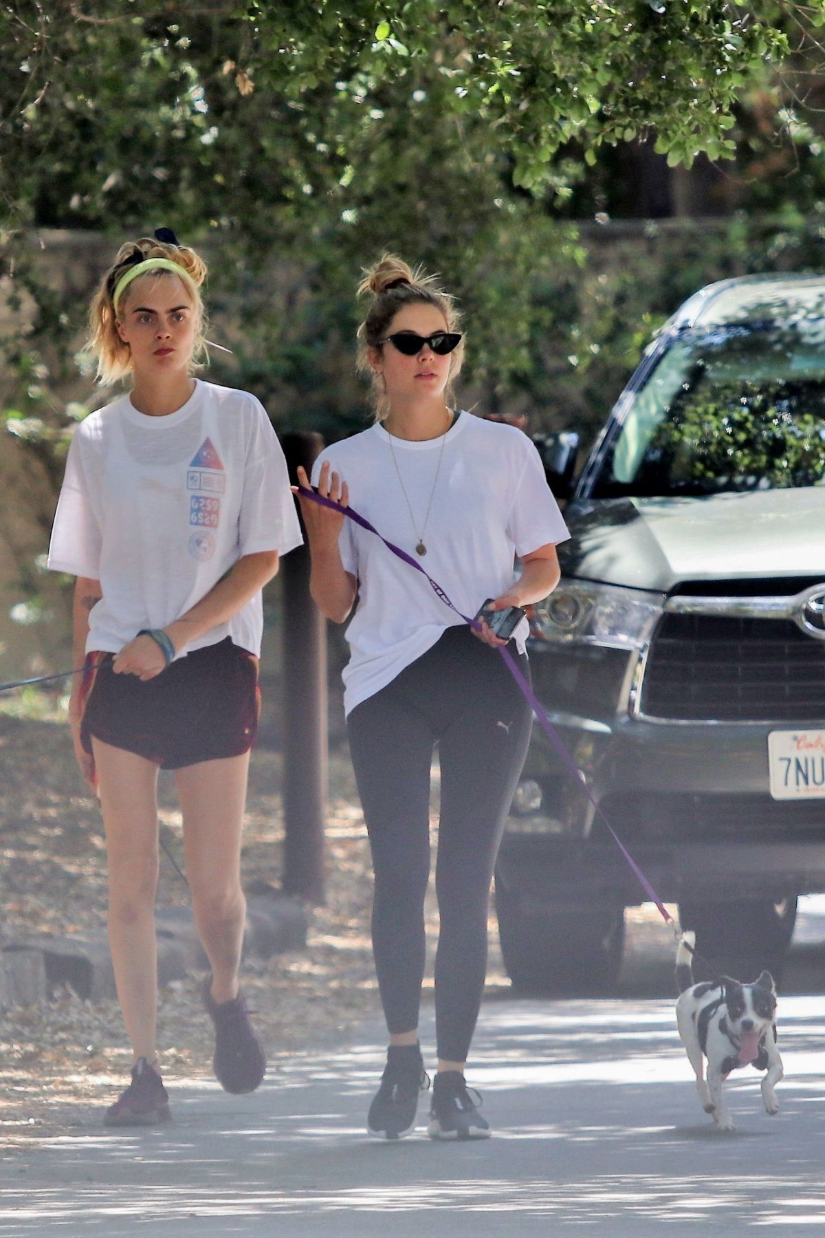 ashley-benson-and-cara-delevingne-out-with-their-dogs-in-studio-city-05-29-2019-2.jpg