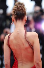 BELLA HADID at Pain and Glory Premiere at Cannes Film Festival 05/17/2019