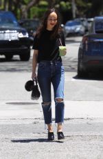 CARA SANTANA in Ripped Denim Out and About in Hollywood 05/24/2019