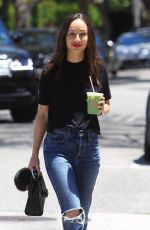 CARA SANTANA in Ripped Denim Out and About in Hollywood 05/24/2019