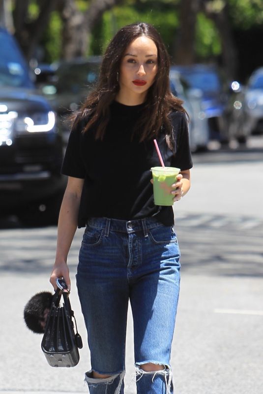 CARA SANTANA in Ripped Denim Out and About in Hollywood 05/24/2019