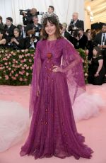 DAKOTA JOHNSON at 2019 Met Gala in New York 05/06/2019