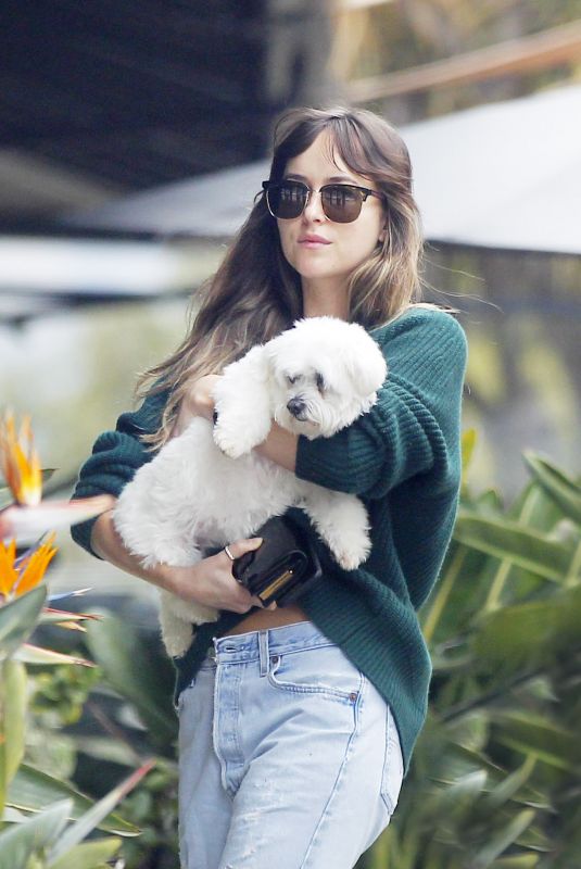 DAKOTA JOHNSON Out with Her Dog in Malibu 05/04/2019