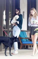 DAKOTA JOHNSON Out with Her Dog in Malibu 05/04/2019