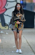 EMILY RATAJKOWSKI Carrying Her Dog Out in New York 05/24/2019