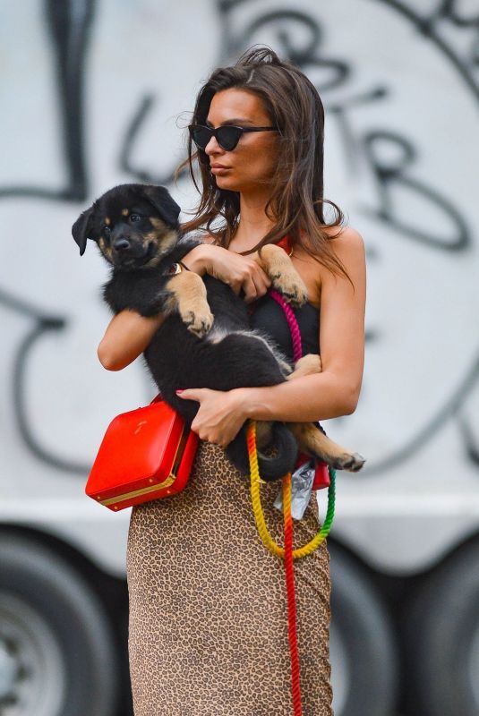 EMILY RATAJKOWSKI Out with Her Dog Colombo in New York 05/20/2019