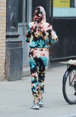 EMILY RATAJKOWSKI Out with Her Dog in New York 05/28/2019