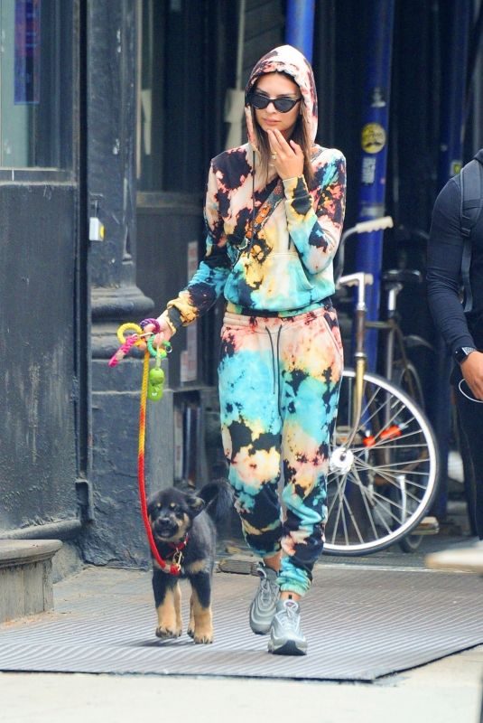 EMILY RATAJKOWSKI Out with Her Dog in New York 05/28/2019