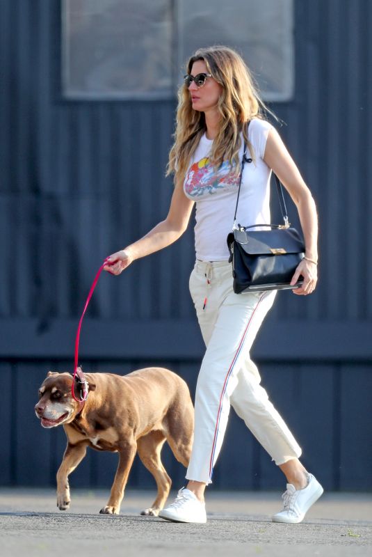 GISELE BUNDCHEN Out with Her Dog in New York 05/19/2019