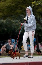 IRELAND BALDWIN Out with Her Dogs in Beverly Hills 05/07/2019