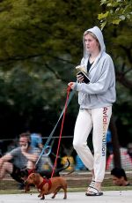 IRELAND BALDWIN Out with Her Dogs in Beverly Hills 05/07/2019