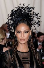 JOAN SMALLS at 2019 Met Gala in New York 05/06/2019