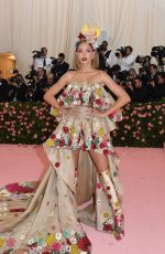 JOSEPHINE SKRIVER at 2019 Met Gala in New York 05/06/2019