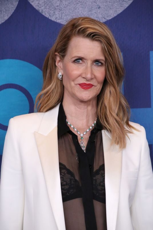 LAURA DERN at Big Little Lies, Season 2 Premiere in New York 05/29/2019