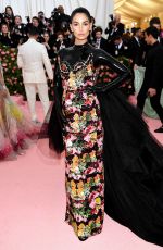 LILY ALDRIDGE at 2019 Met Gala in New York 05/06/2019