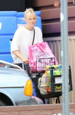 MALIN AKERMAN Shopping at a Supermarket in Los Angeles 04/30/2019