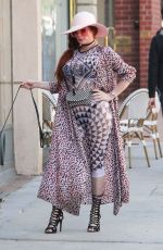 PHOEBE PRICE Out with Her Dog in Los Angeles 05/03/2019