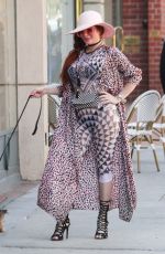 PHOEBE PRICE Out with Her Dog in Los Angeles 05/03/2019