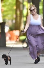 Pregnant AMY SCHUMER Out with Her Dog in New York 05/18/2019