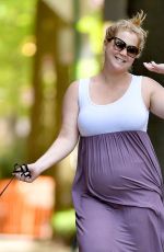 Pregnant AMY SCHUMER Out with Her Dog in New York 05/18/2019