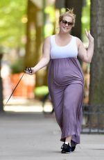 Pregnant AMY SCHUMER Out with Her Dog in New York 05/18/2019