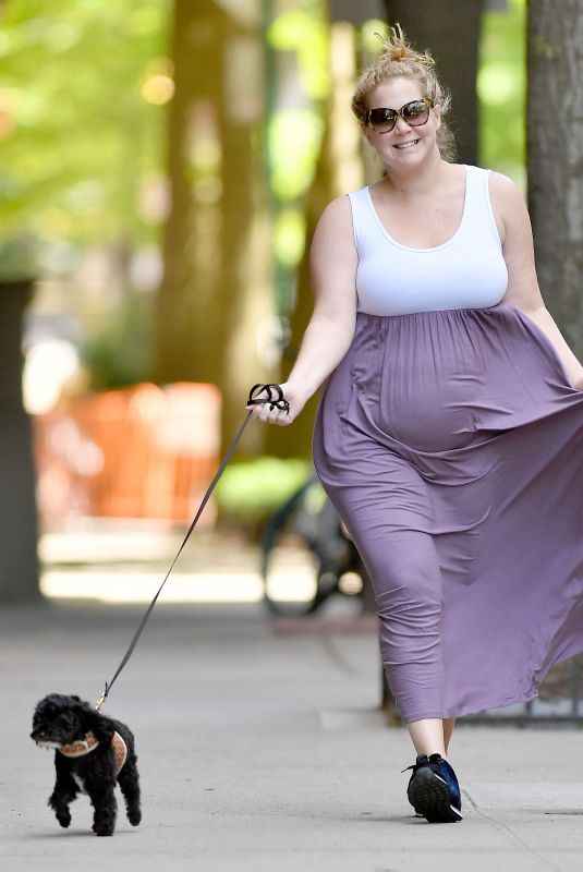 Pregnant AMY SCHUMER Out with Her Dog in New York 05/18/2019