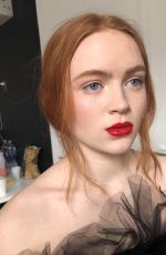 SADIE SINK in Harper