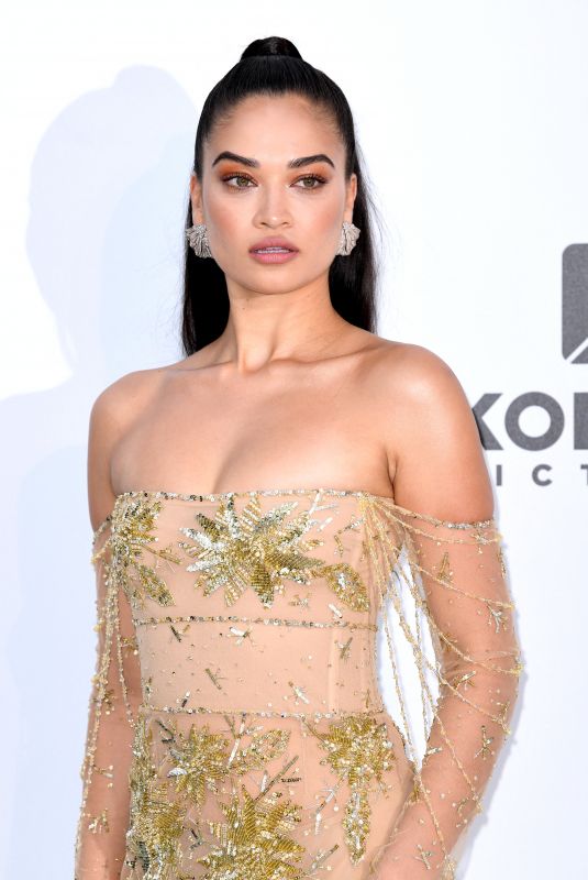 SHANINA SHAIK at Amfar Cannes Gala 2019 05/23/2019