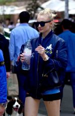 SOPHIE TURNER and Joe Jonas Out with Their Dog in New York 05/17/2019