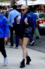 SOPHIE TURNER and Joe Jonas Out with Their Dog in New York 05/17/2019