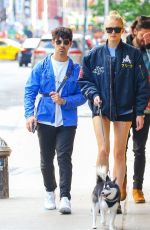 SOPHIE TURNER and Joe Jonas Out with Their Dog in New York 05/17/2019