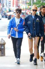 SOPHIE TURNER and Joe Jonas Out with Their Dog in New York 05/17/2019