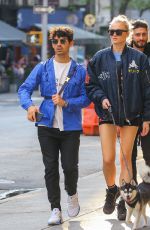 SOPHIE TURNER and Joe Jonas Out with Their Dog in New York 05/17/2019